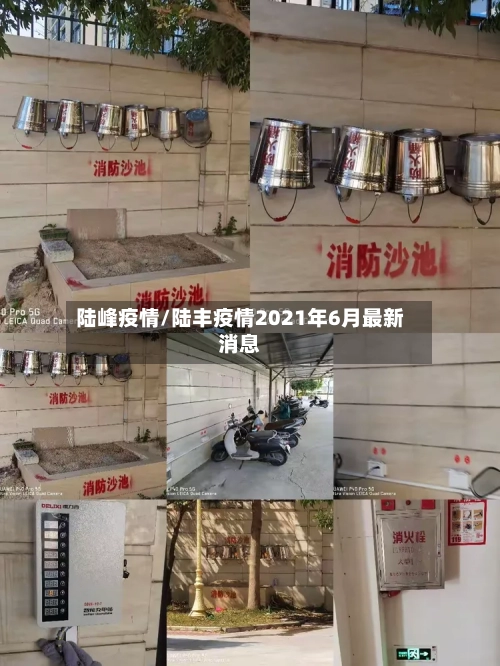 陆峰疫情/陆丰疫情2021年6月最新消息