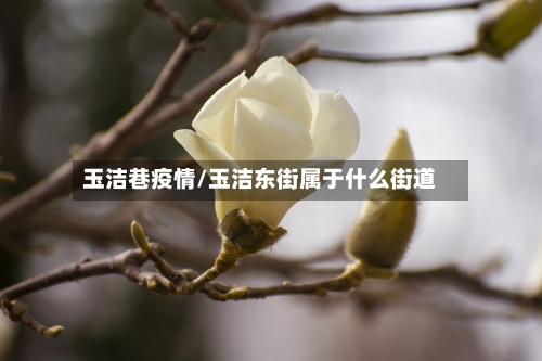 玉洁巷疫情/玉洁东街属于什么街道-第3张图片