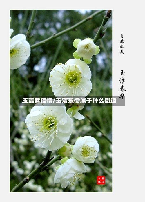 玉洁巷疫情/玉洁东街属于什么街道-第2张图片
