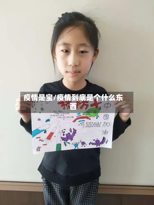 疫情是宝/疫情到底是个什么东西-第2张图片