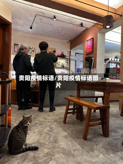 贵阳疫情标语/贵阳疫情标语图片-第2张图片