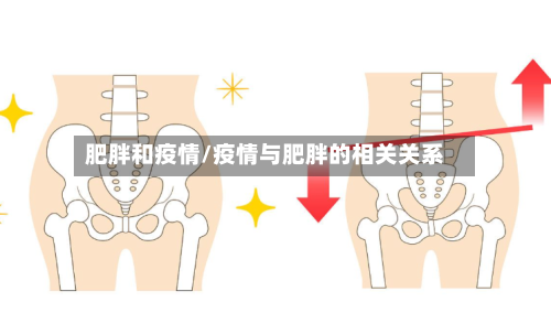 肥胖和疫情/疫情与肥胖的相关关系