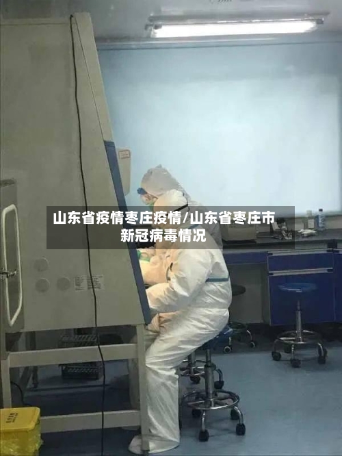 山东省疫情枣庄疫情/山东省枣庄市新冠病毒情况