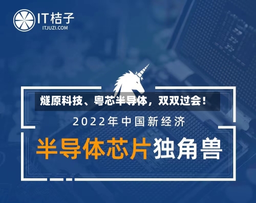 燧原科技、粤芯半导体，双双过会！-第3张图片
