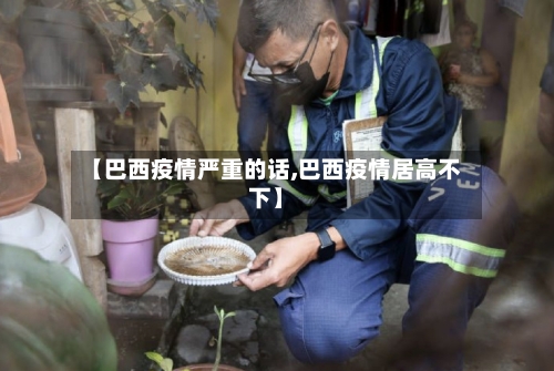 【巴西疫情严重的话,巴西疫情居高不下】-第2张图片