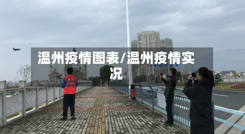 温州疫情图表/温州疫情实况-第2张图片