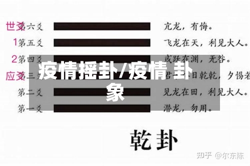 疫情摇卦/疫情 卦象-第2张图片