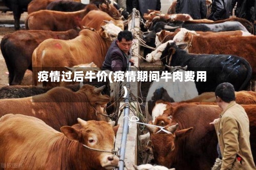 疫情过后牛价(疫情期间牛肉费用)