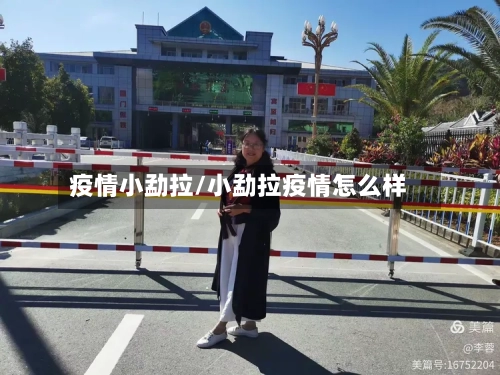 疫情小勐拉/小勐拉疫情怎么样-第3张图片