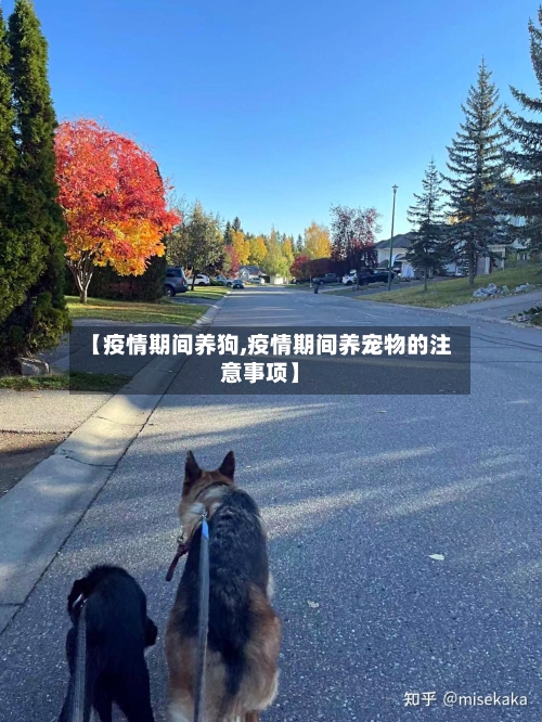 【疫情期间养狗,疫情期间养宠物的注意事项】