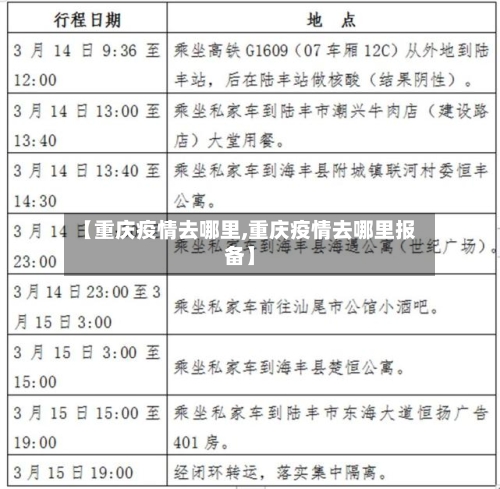 【重庆疫情去哪里,重庆疫情去哪里报备】-第2张图片