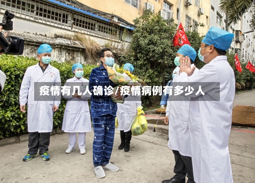 疫情有几人确诊/疫情病例有多少人