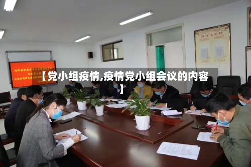 【党小组疫情,疫情党小组会议的内容】-第2张图片