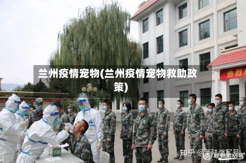 兰州疫情宠物(兰州疫情宠物救助政策)-第2张图片