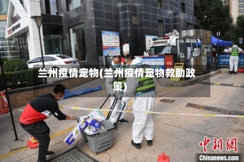 兰州疫情宠物(兰州疫情宠物救助政策)