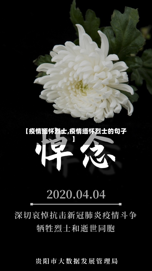 【疫情缅怀烈士,疫情缅怀烈士的句子】-第2张图片