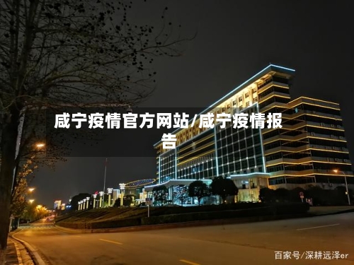 咸宁疫情官方网站/咸宁疫情报告-第2张图片