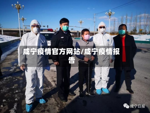 咸宁疫情官方网站/咸宁疫情报告
