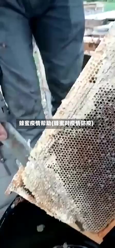 蜂蜜疫情帮助(蜂蜜对疫情防疫)
