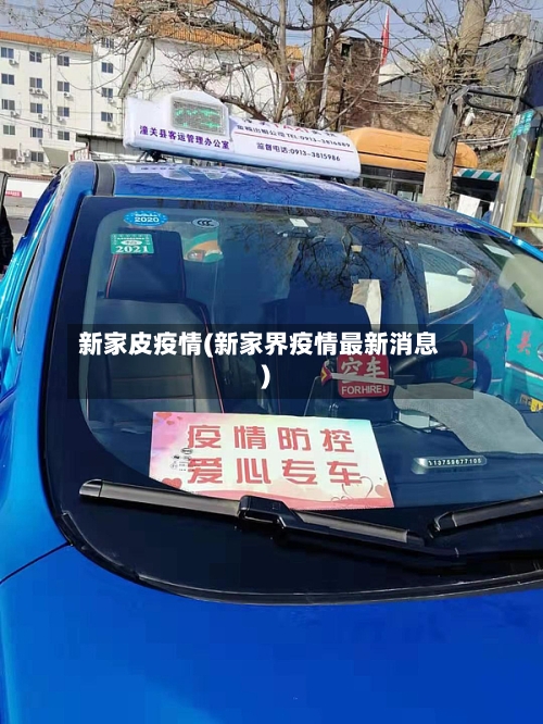 新家皮疫情(新家界疫情最新消息)
