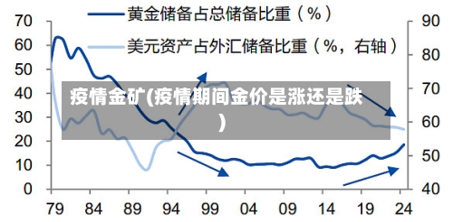 疫情金矿(疫情期间金价是涨还是跌)-第2张图片