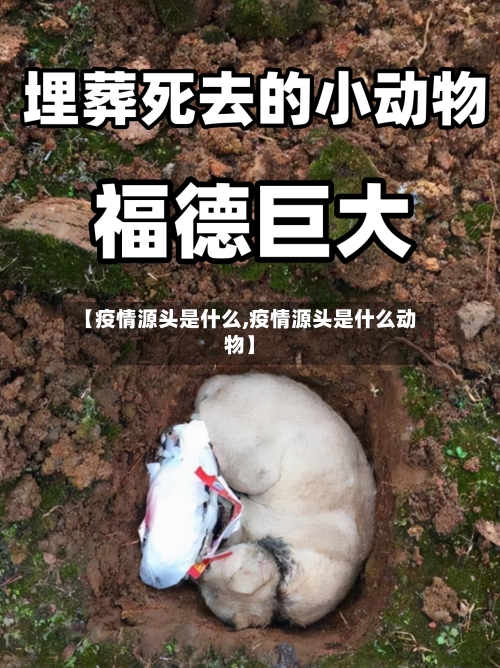 【疫情源头是什么,疫情源头是什么动物】