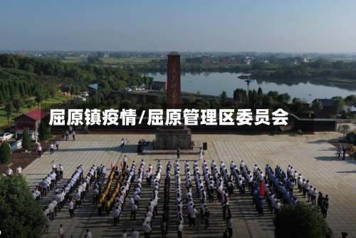 屈原镇疫情/屈原管理区委员会