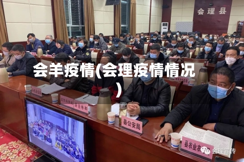 会羊疫情(会理疫情情况)-第2张图片