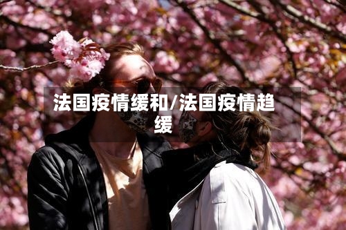 法国疫情缓和/法国疫情趋缓-第2张图片