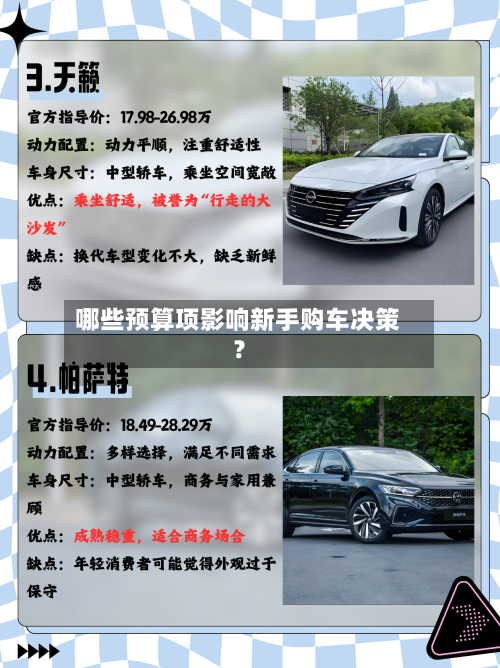 哪些预算项影响新手购车决策?-第3张图片