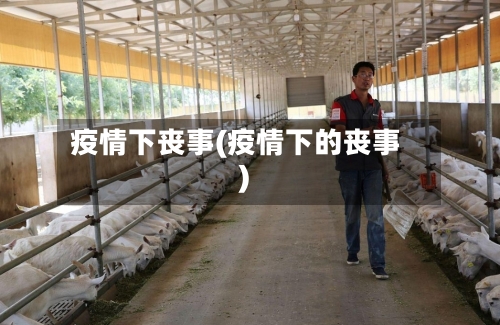 疫情下丧事(疫情下的丧事)