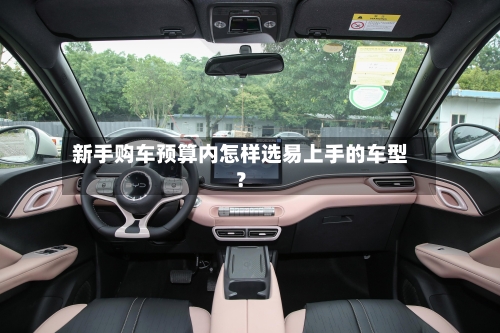 新手购车预算内怎样选易上手的车型?-第2张图片