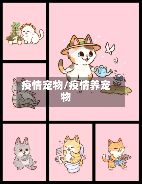 疫情宠物/疫情养宠物