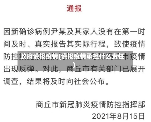 政府谎报疫情(谎报疫情承担什么责任)