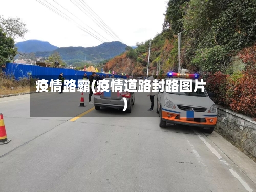 疫情路霸(疫情道路封路图片)-第2张图片