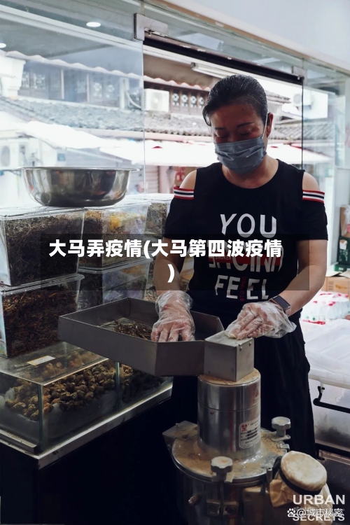 大马弄疫情(大马第四波疫情)-第3张图片