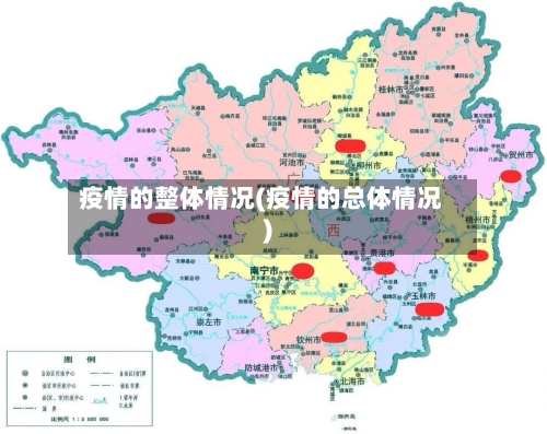 疫情的整体情况(疫情的总体情况)