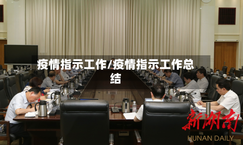 疫情指示工作/疫情指示工作总结-第2张图片