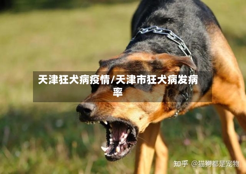天津狂犬病疫情/天津市狂犬病发病率