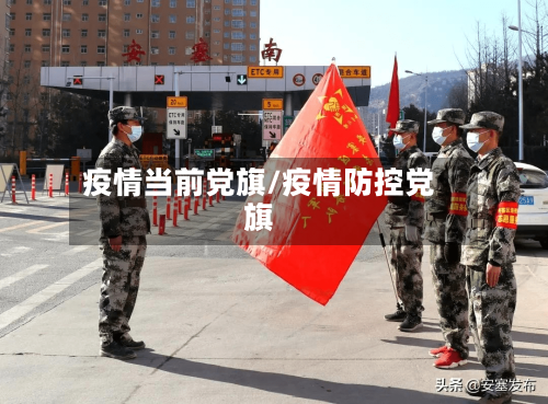 疫情当前党旗/疫情防控党旗