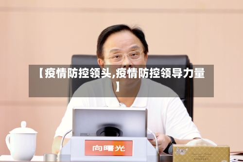 【疫情防控领头,疫情防控领导力量】-第2张图片