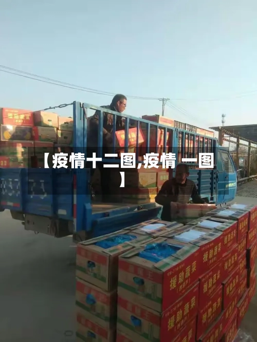【疫情十二图,疫情 一图】-第3张图片