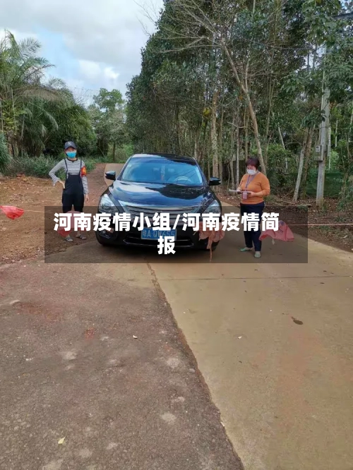 河南疫情小组/河南疫情简报-第2张图片