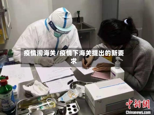 疫情闹海关/疫情下海关提出的新要求-第3张图片