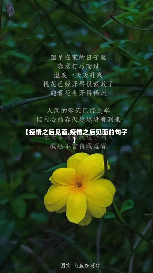 【疫情之后见面,疫情之后见面的句子】