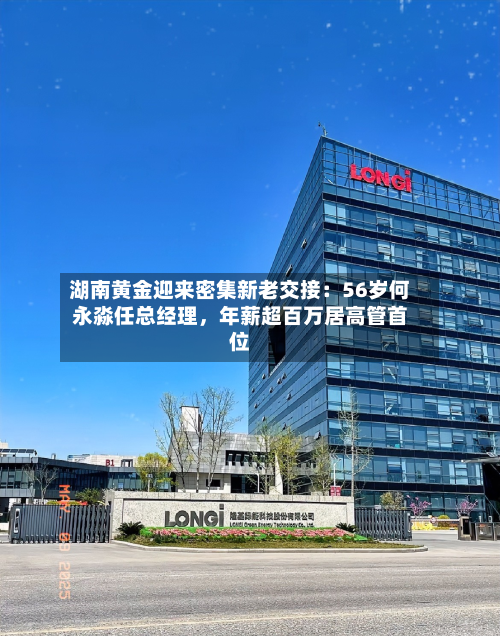 湖南黄金迎来密集新老交接：56岁何永淼任总经理，年薪超百万居高管首位