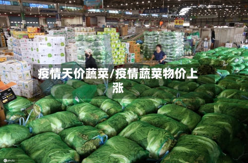疫情天价蔬菜/疫情蔬菜物价上涨