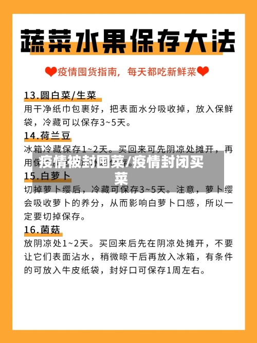 疫情被封囤菜/疫情封闭买菜