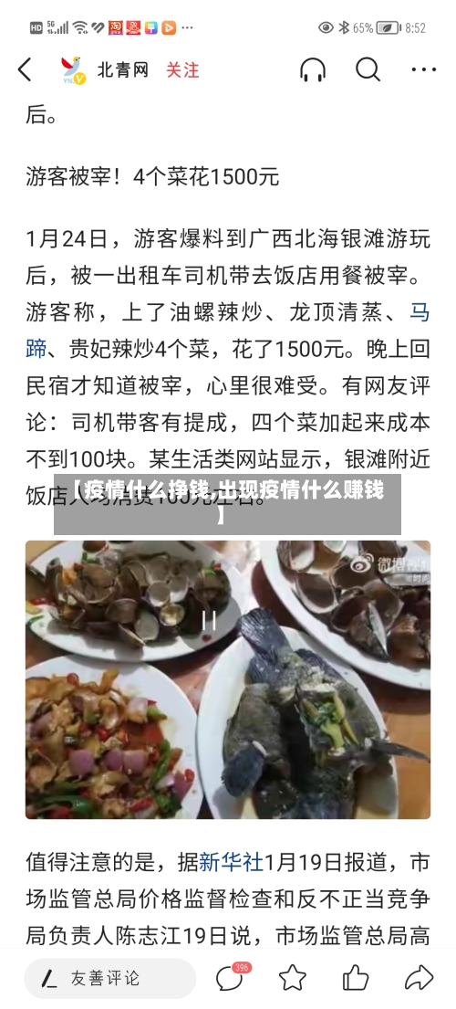 【疫情什么挣钱,出现疫情什么赚钱】-第2张图片