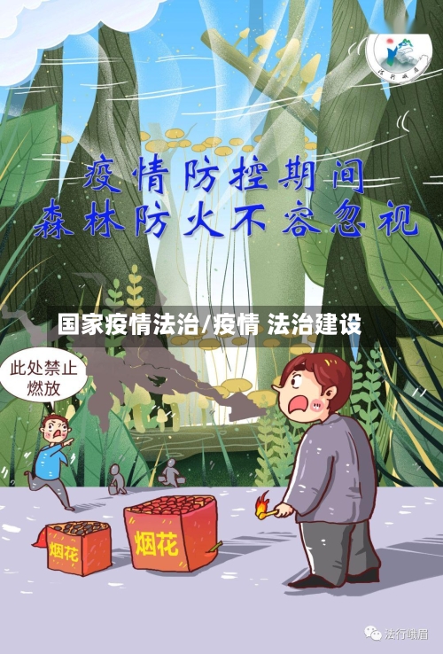 国家疫情法治/疫情 法治建设-第2张图片